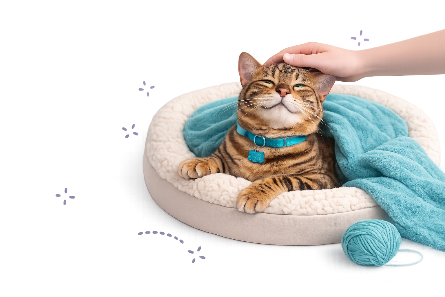 Cat Paw Design Request (2) https://auroracatsitters.co.uk/wp-content/uploads/2026/01/Cat-Paw-Design-Request-2.png